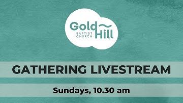 Live Stream 19th October