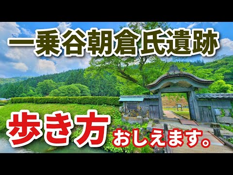 【一乗谷朝倉氏遺跡】現役ツアコン目線で歩く!一乗谷朝倉氏遺跡