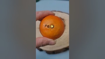 firecracker VS orange Slow motion capture  #firecracker #experiment #crackeresxperiment #satisfying