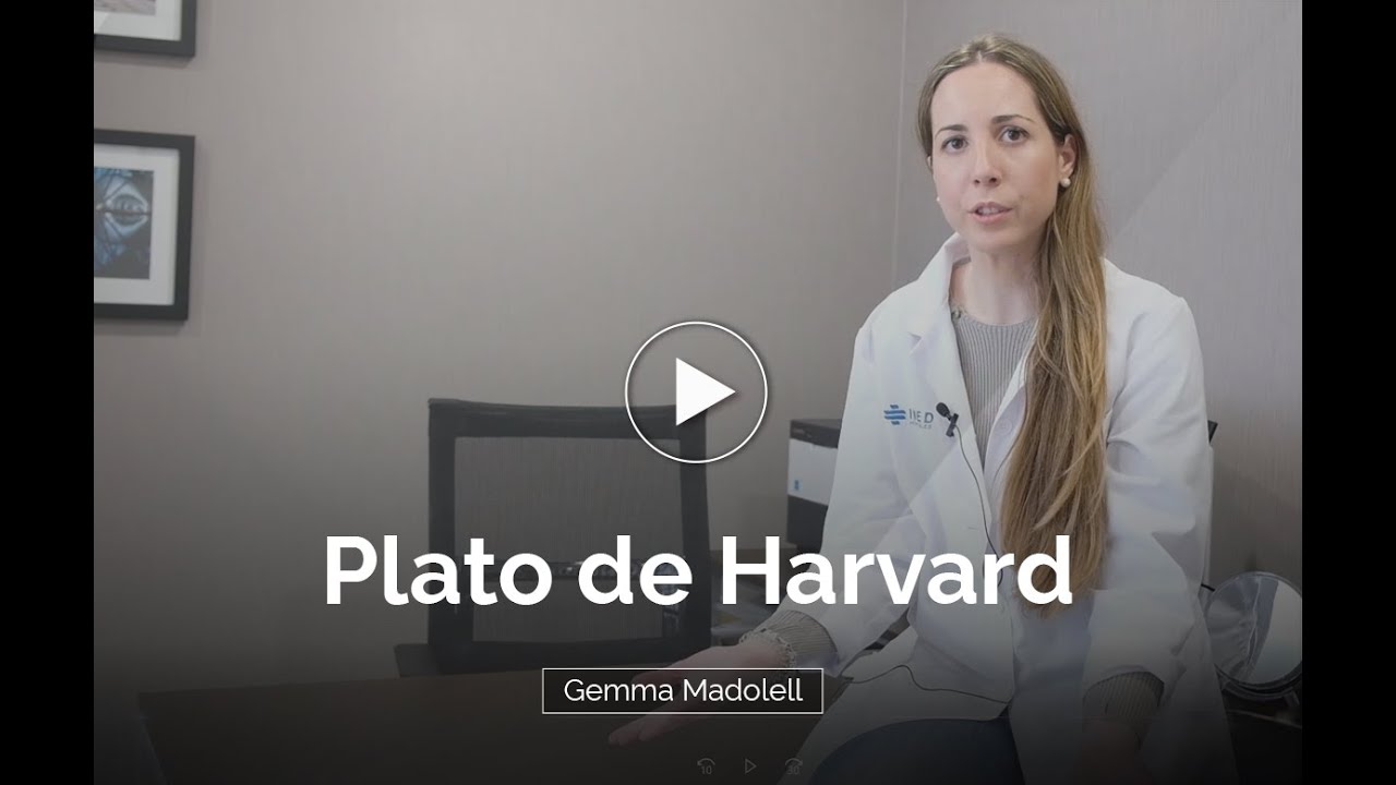 NO HAGAS  El plato HARVARD  sin antes VER este video 😱😱 