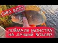 СЯВА ВЛОГ - ПОЙМАЛИ МОНСТРА / НА ЛУЧШИЙ ВОБЛЕР