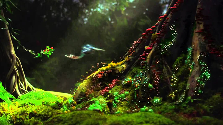 Movie of bird