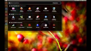 Ubuntu Unity design review