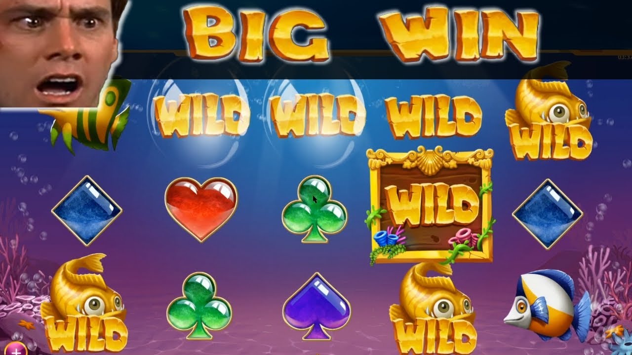 AQUARIUM DE GROS GAINS SUR LA MACHINE GOLDEN FISH TANK CASINO EN