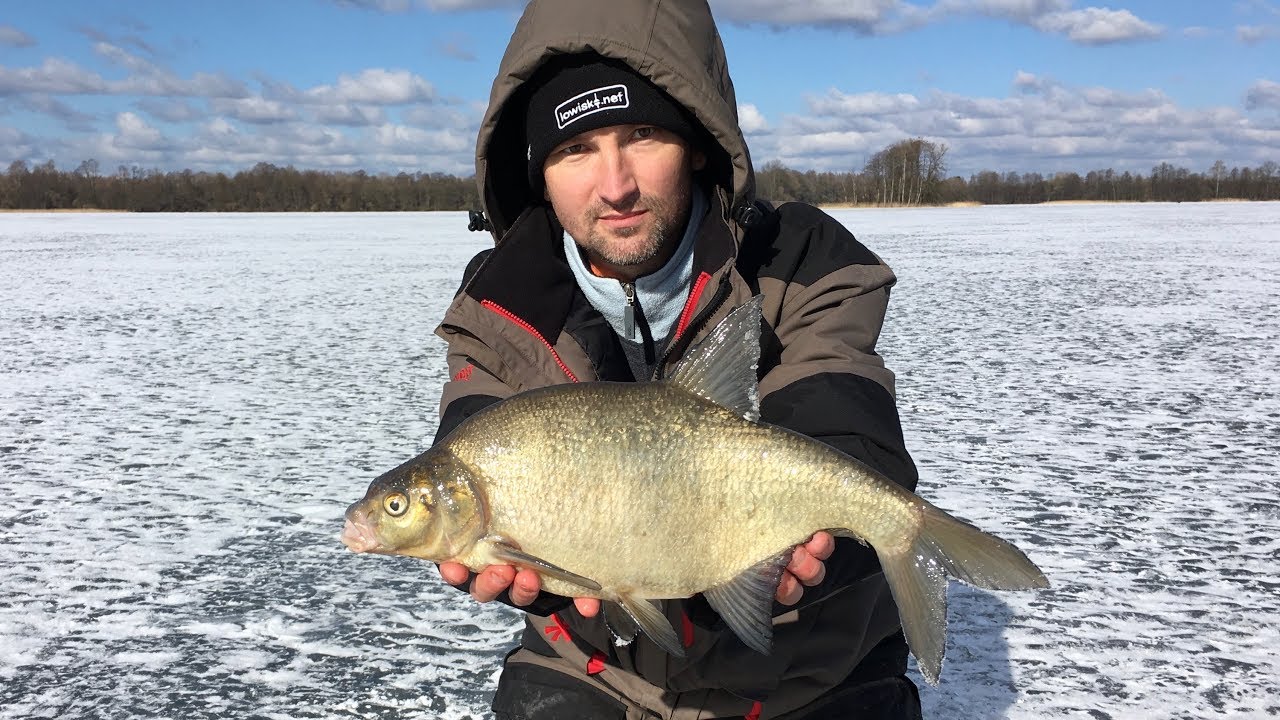Łowienie leszczy spod lodu na mormyszkę