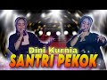 Dini Kurnia - Santri Pekok (Official Live Video)
