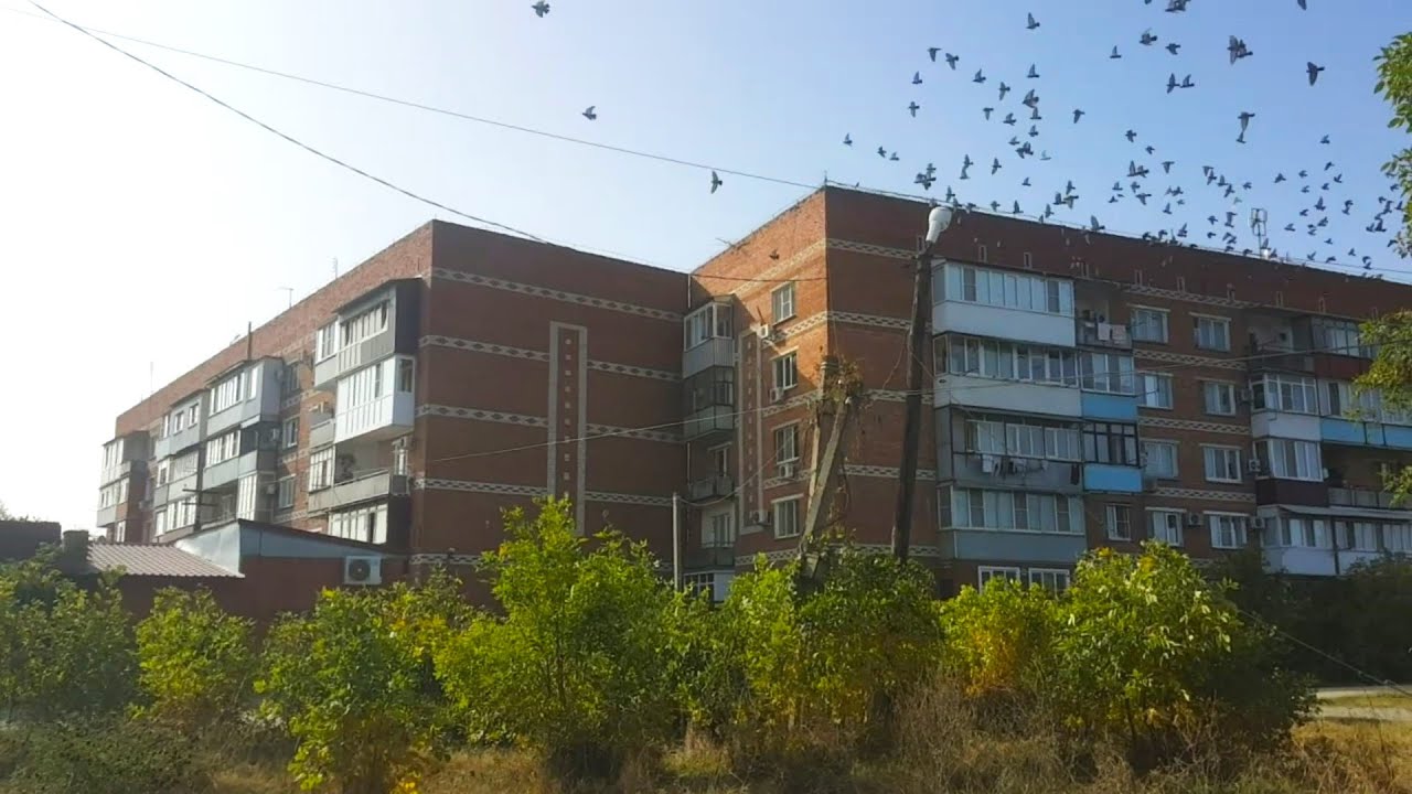 Жилой модуль в Ильский