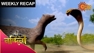 Nandini - Weekly Recap | 18 Oct - 24 Oct 2020 | Sun Bangla TV Serial | Bengali Serial