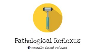 pathological reflexes