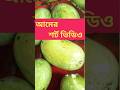 আমের শর্ট ভিডিও || Mango shorts video || #youtubeshorts #status #trending #like #subscribe ❤️👍🥭🥭🥭🫒