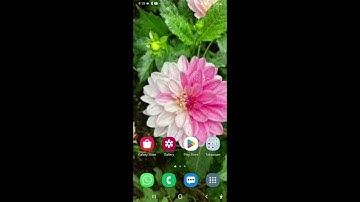 a new screen reader for TalkBack users