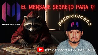 MAPACHE TAROT: LAS PREDICCIONES QUE TE HARÁN CREER ¡Y AMAR!