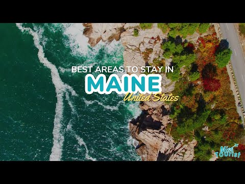 Reproductor de vídeo de YouTube