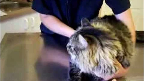 Watch the video about Nancy Today