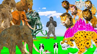 10 Zombie Lions vs Cow Cartoon Rescue Saved By 10 Mammoth Elephant Cow Tiger Fight Cartoon Animal