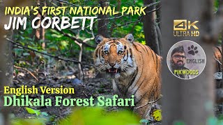 Jim Corbett Tiger Reserve | English version of Dhikala zone safari | India's first National Park