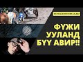 Фүжи ууланд авирсан #Монголчуудад юу тохиолдов? #EP2