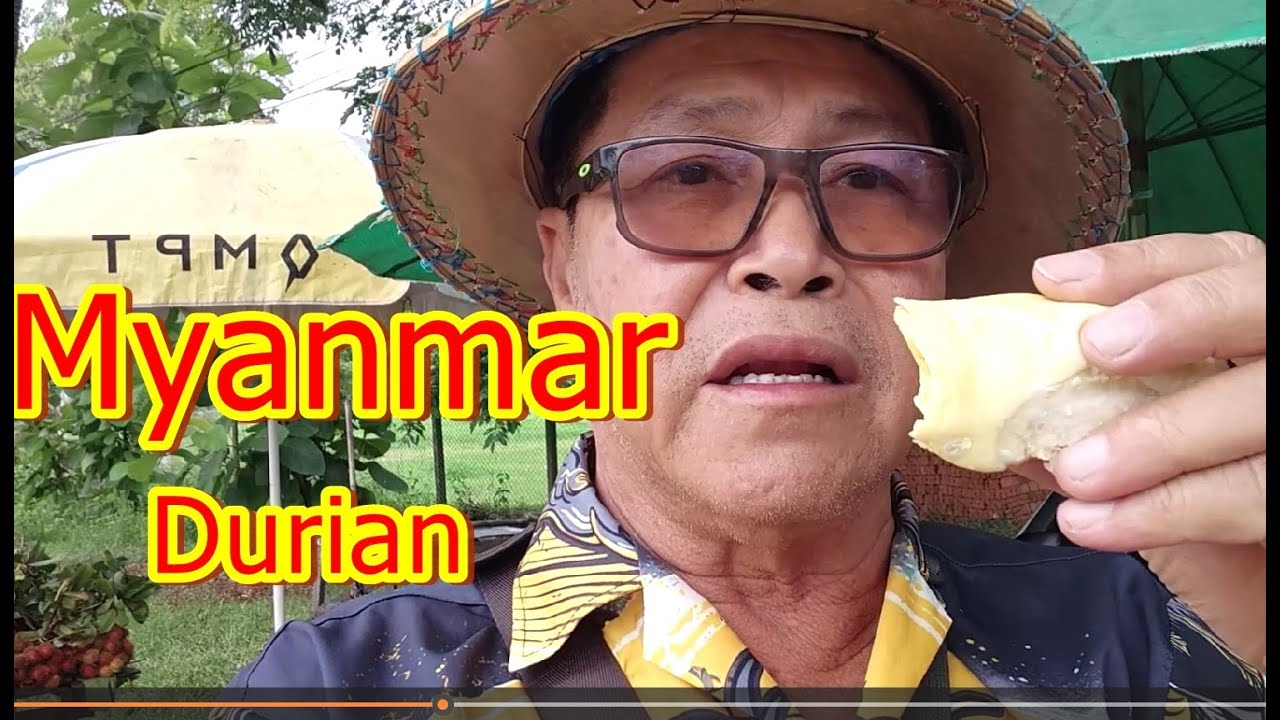 เที่ยวพม่ากินทุเรียนพม่า,Myanmar,ฺBurmese Durian - YouTube