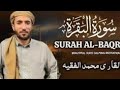 Surah Al Baqra Sheikh Mohammad Faqih Heart Touching Recitaion Quran Viral Video