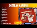 S h e e b a h k a r u n g i 2023 mix  top 10 best songs