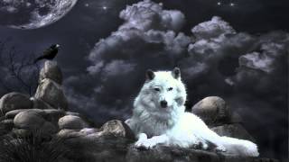 Klaus Schulze - Wolf's Ponticelli
