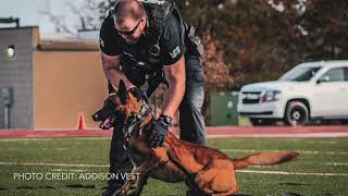 The K-9 Games 2023