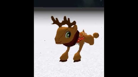 REINDEER RUNCYCLE