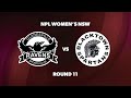 Npl womens nsw round 11 gladesville ravens v blacktown spartans fc