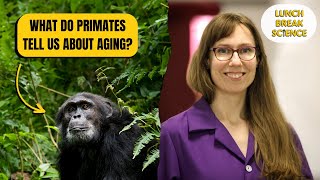 Evolutionary Insights into Aging ft. Dr. Elaine Guevara