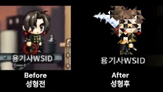Mapleland: How to Change Your Face, Hair Color, and Hairstyle!!