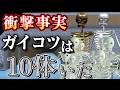 新たな発見!!ガイコツは10体いた!?下水道の謎について調査!!【サクラスクールシミュレーター】