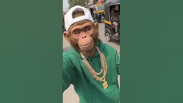 Bandar vlog new part | Funny Monkey  🐒  #monkeyvlog ##ai #aivlog