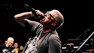 DESCENDENTS - Everything Sucks (Multicam) live at Punk Rock Holiday 1.9