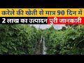 Karele ki kheti       90  2     bitter gourd farming in india