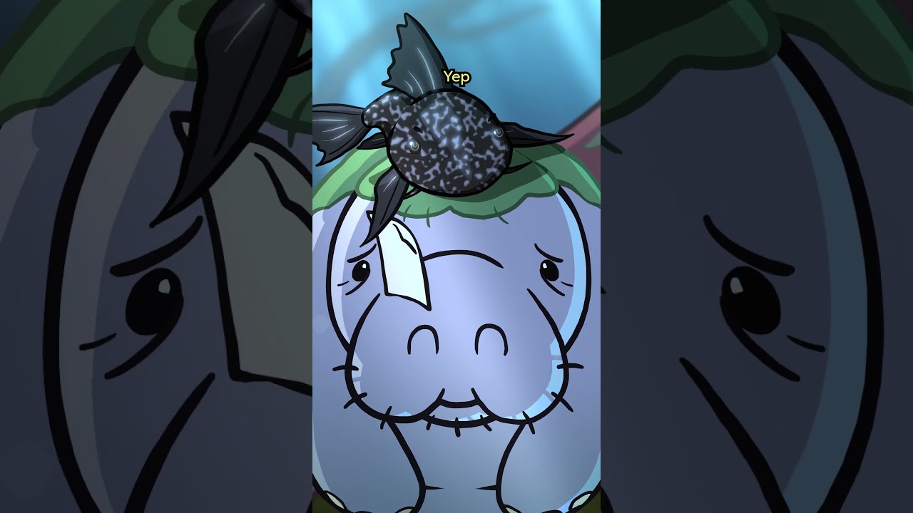 Вермикулярный сомик-парусник 🪠🐟 