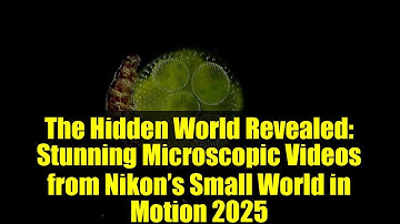 The Hidden World Revealed: Stunning Microscopic Videos from Nikon’s Small World in Motion 2025