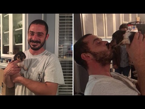 Marine Veteran Gets Christmas Puppy Surprise