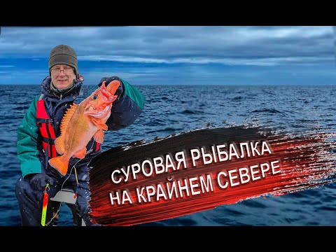 Видео: Настоящая морская рыбалка в Баренцевом море. Ловля трески. Отдых и развлечения в Мурманске.