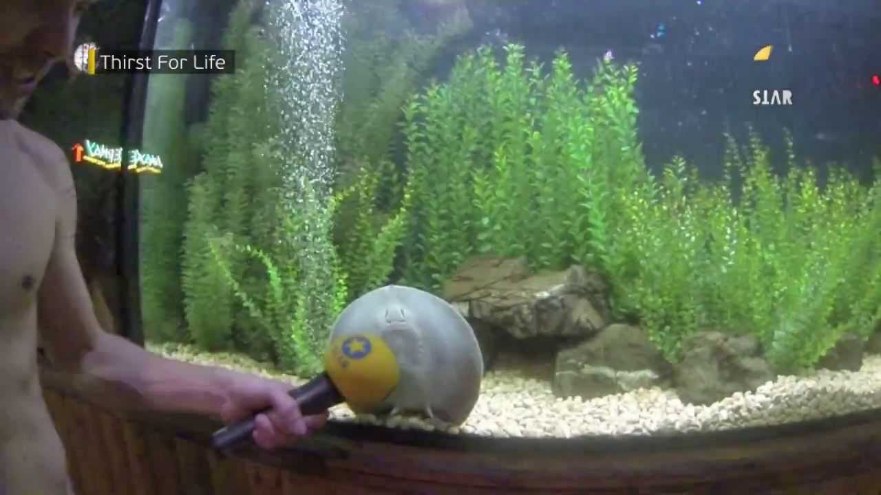 Thirst for Life. Aquapark