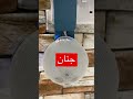 معنى جنان