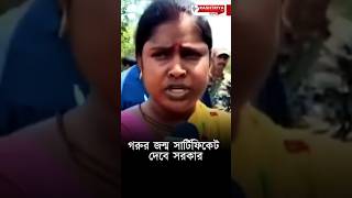 গরুর জন্ম সার্টিফিকেট দেবে সরকার | Cow Birth Certificate | Weat Bengal | Birth Certificate | BJP