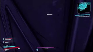 Buggin in Borderlands