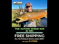 The Autumn Spawn Run is ON!