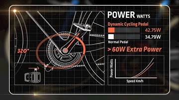 DYNAMIC CYCLING PEDAL