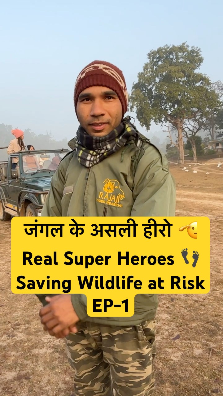 Real Hero 🦸 Jungle ke Rakshak ❤️Jai Jungle! #wildlife #tigerspotted #junglehero #Hero #woxygen