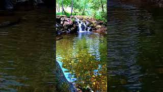 🇪🇸 🌳 🌄 Río Támega (Verín ⇒ Monterrei) #Senderismo #Galicia #España #Shorts