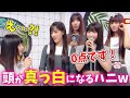 NewJeans ヘリンの想定外の答えに混乱するスペシャルMCハニw 日本語字幕 NewJeans ヘリンの想定外の答えに混乱するスペシャルMCハニw 日本語字幕
