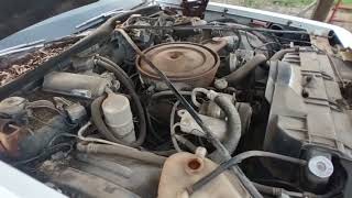 1979 Oldsmobile 98 2 month Cold Start with all 8 cylinders firing 403 V8