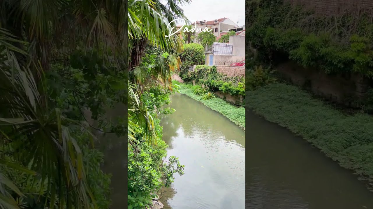 Padua padua padova italien italy italien2024 travelvlog Padua padua padova italien italy italien2024 travelvlog