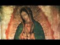 Extended Story: Our Lady of Guadalupe - Episode 3 Bonus Content | Catholic Extension